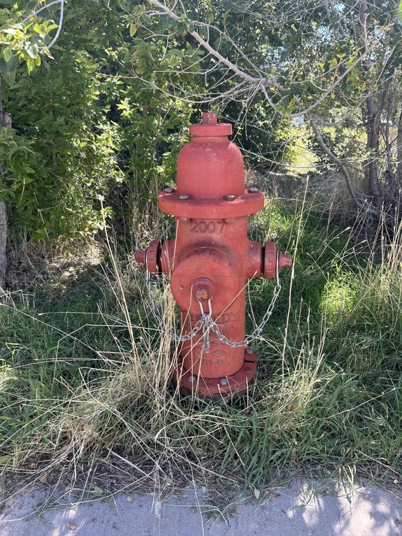 Picture 6