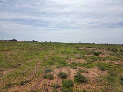 LAND - Brownfield, TX