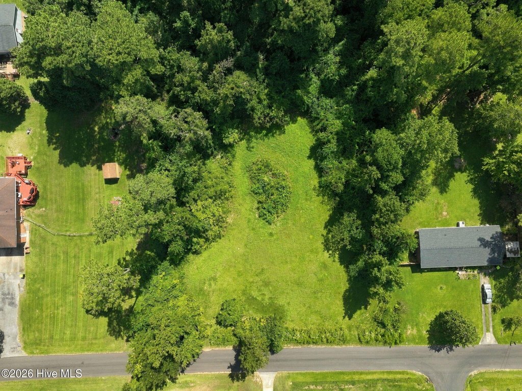 Picture 3