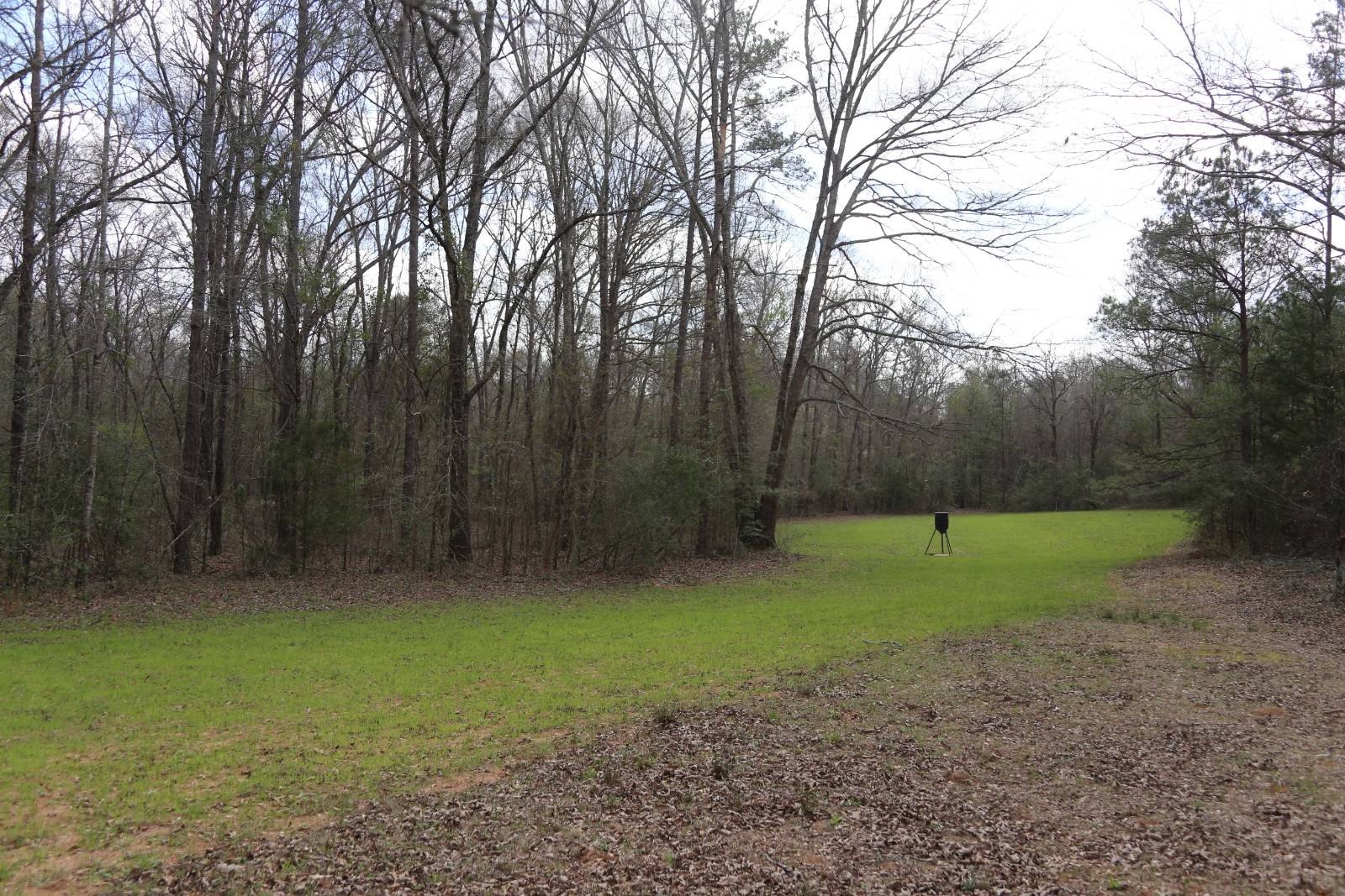 Recreational Land Near Prattville