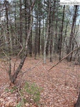 Land in Laurel Springs, NC