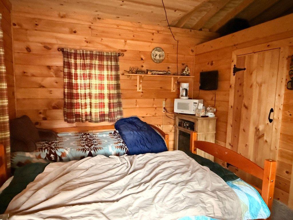 Picture 11