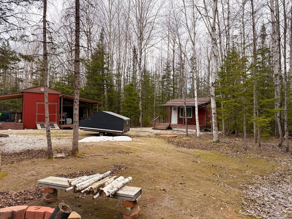 Picture 6