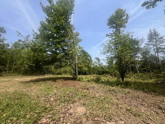 Picture 8