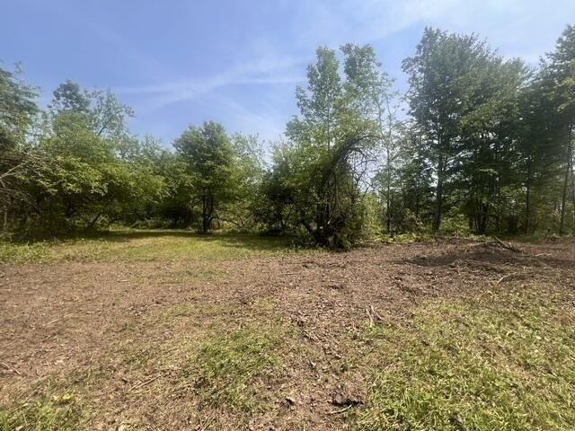 Picture 10