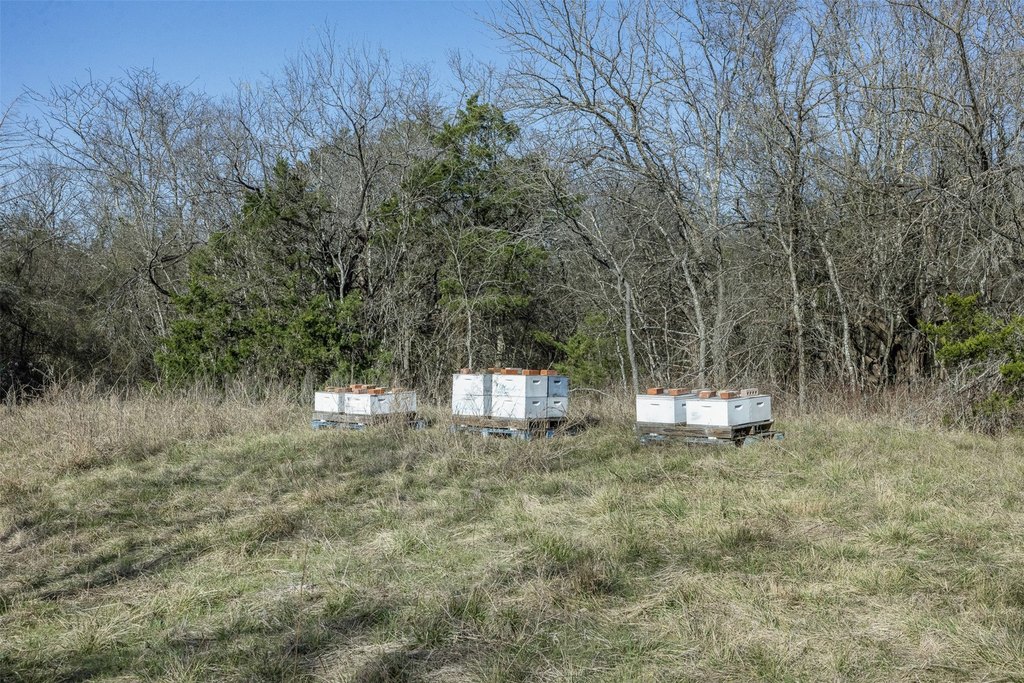 Picture 12