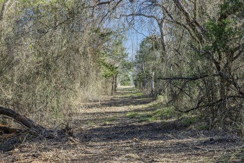 10 Acres of Usable Land