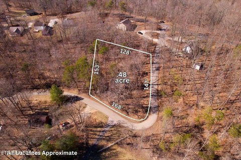 Wooded Lot Near Norris Lake