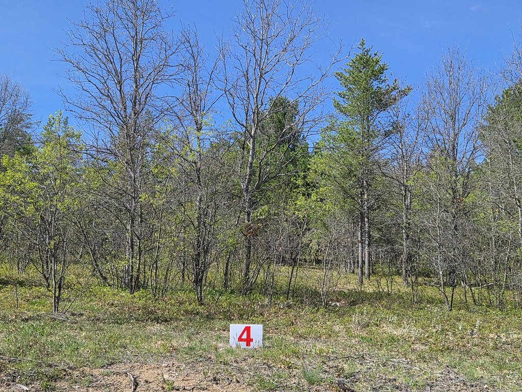 Picture 44