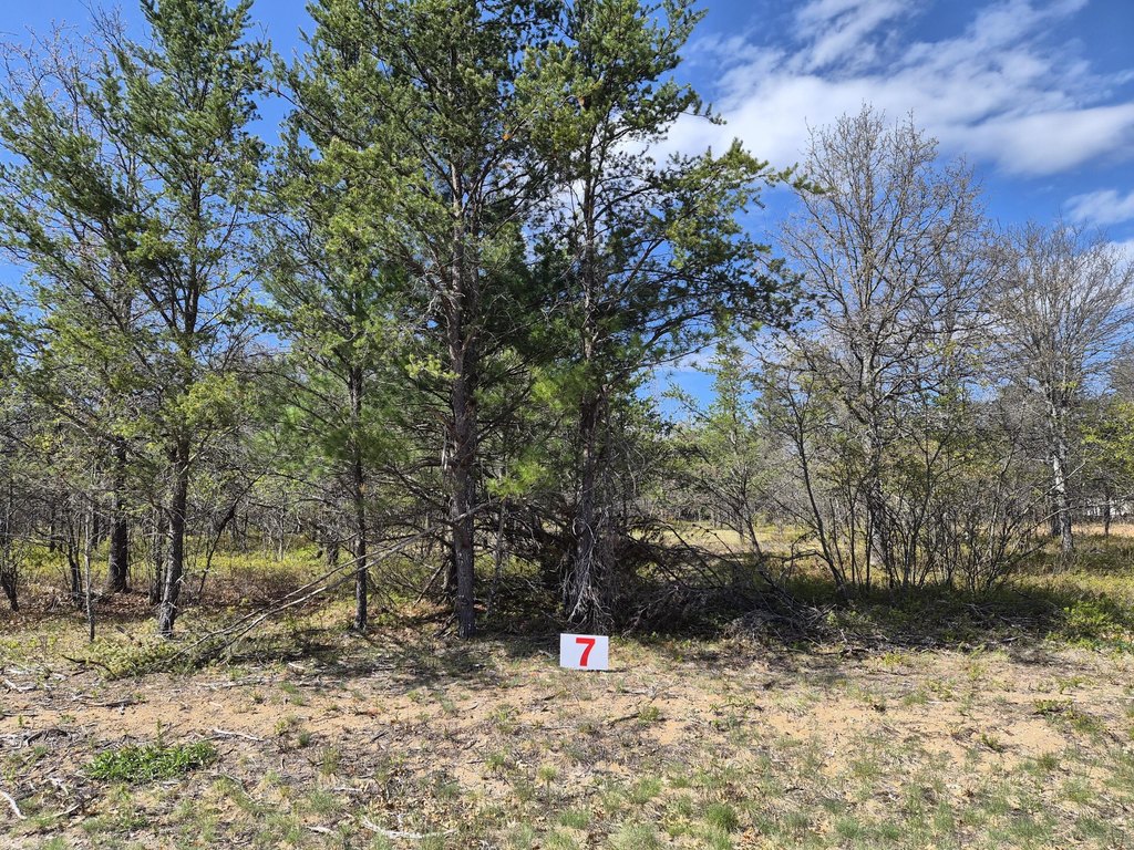 Picture 28