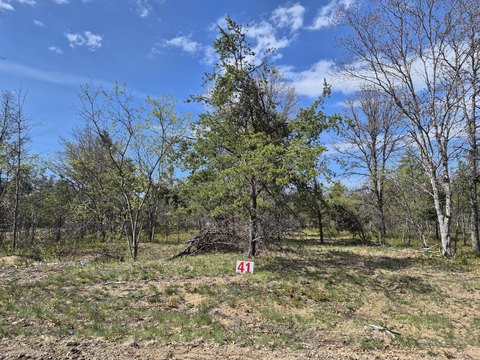 Residential Lots in Northwood Estates