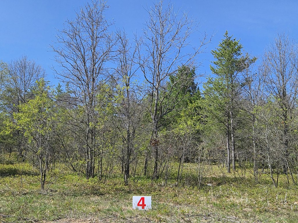 Picture 45