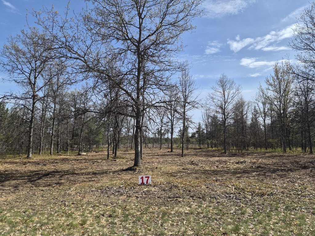 Picture 41