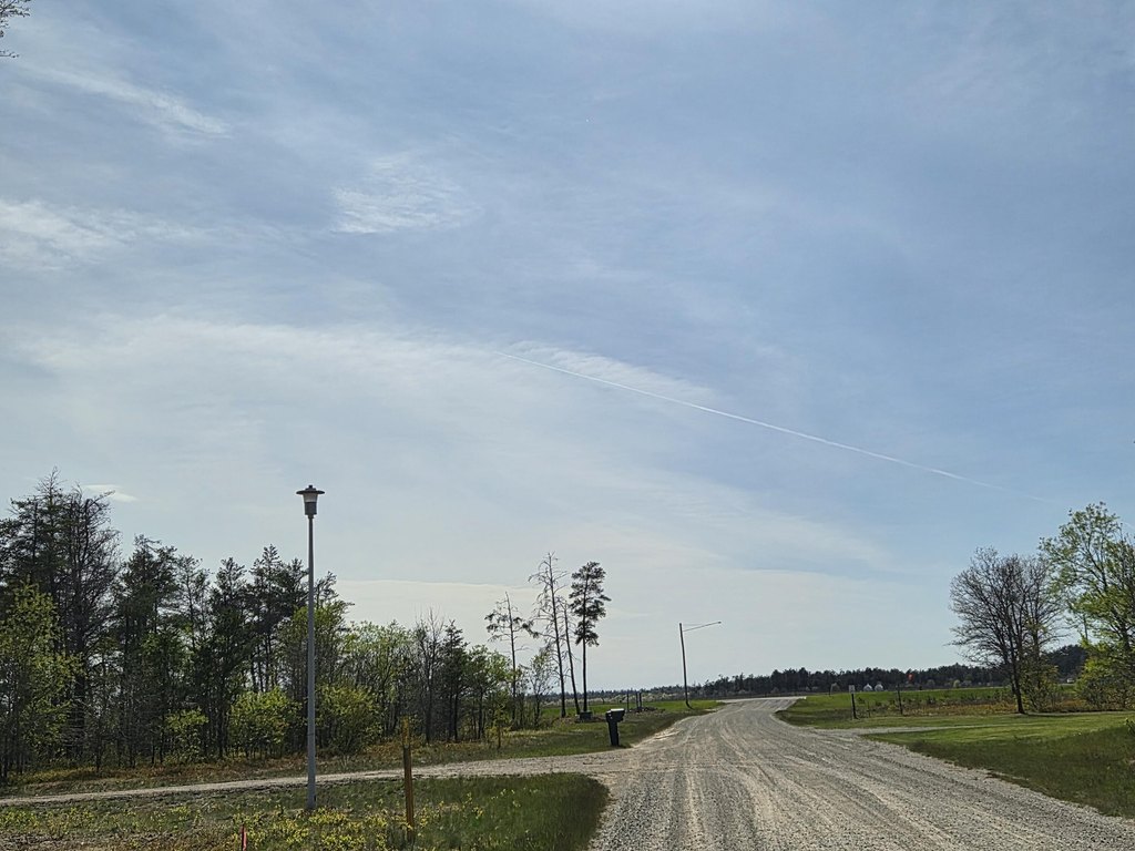 Picture 50