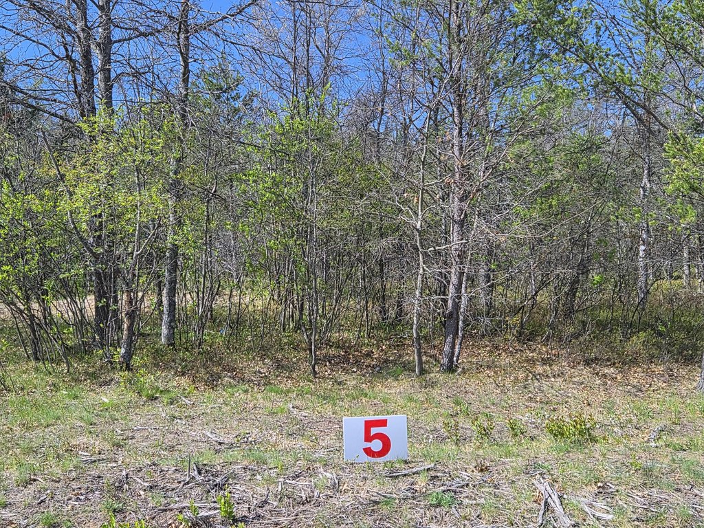 Picture 46