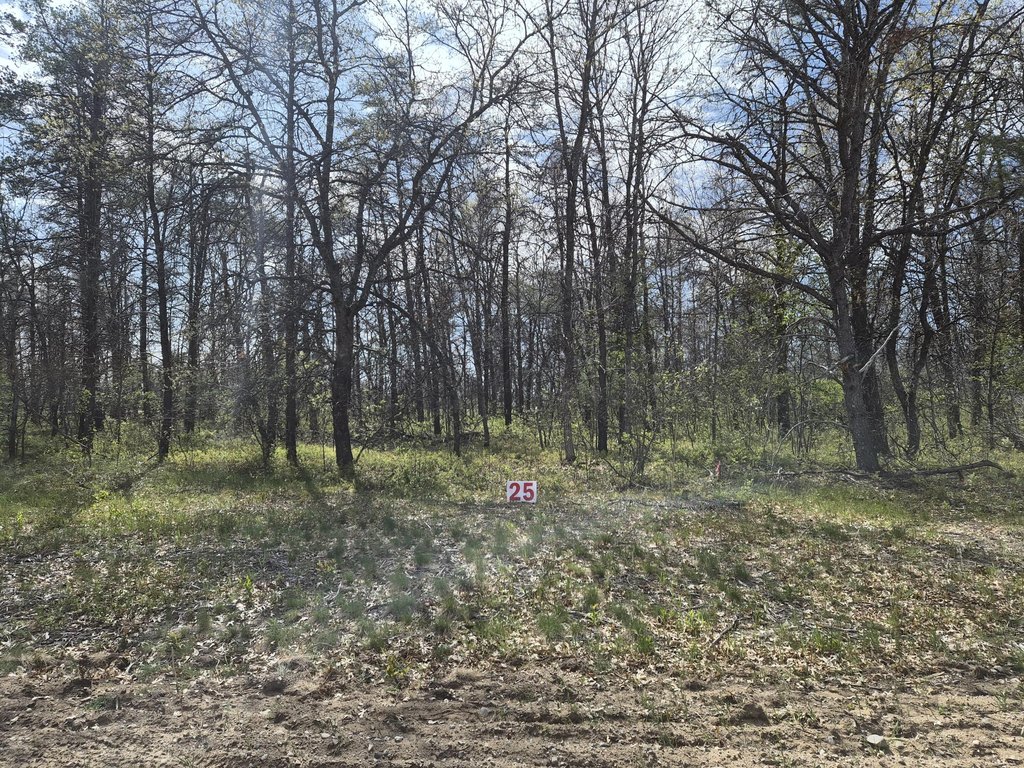 Picture 12