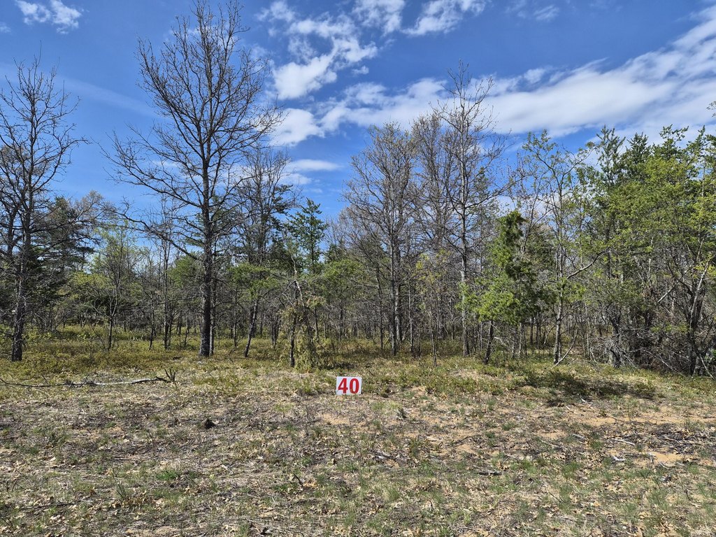 Picture 20