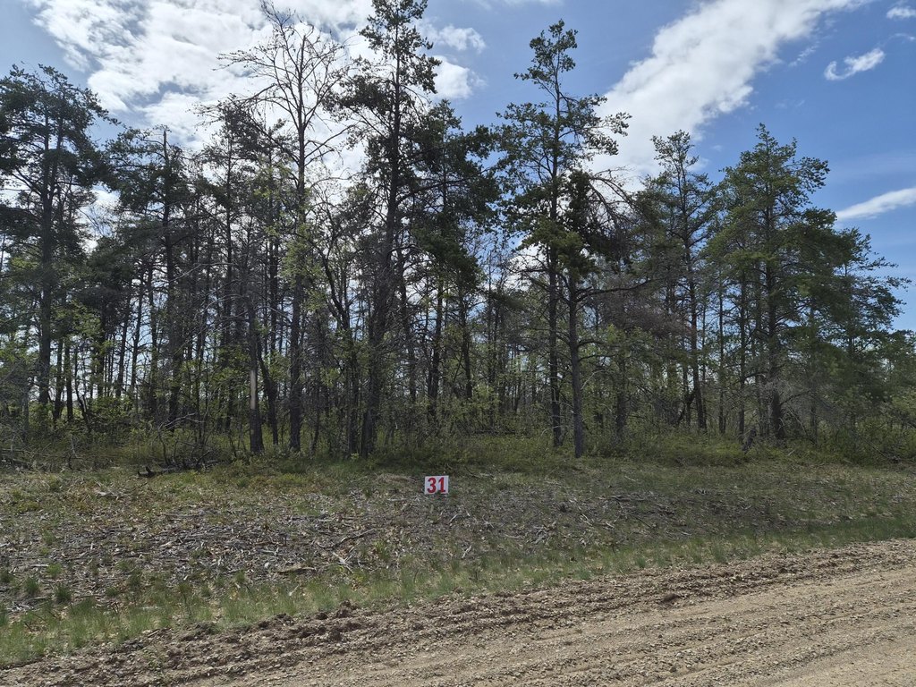 Picture 5