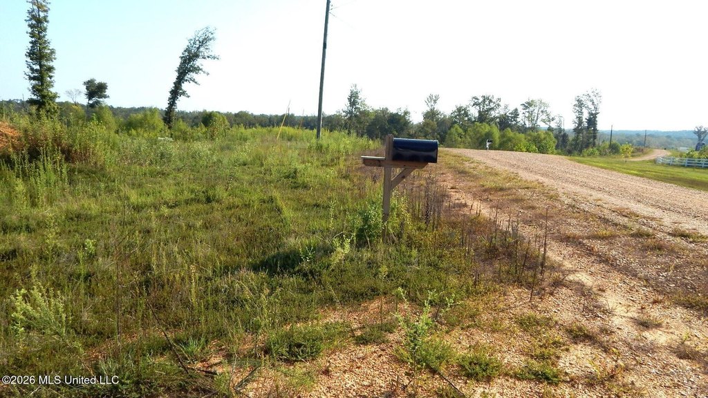 Picture 13