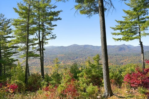 Land, Sapphire, NC