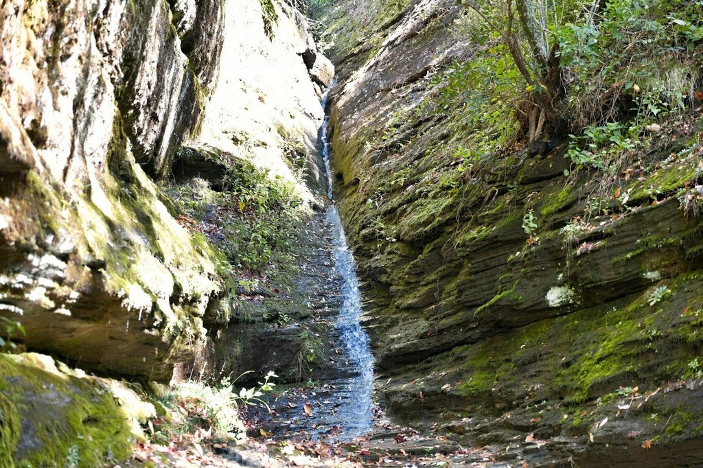 Picture 22
