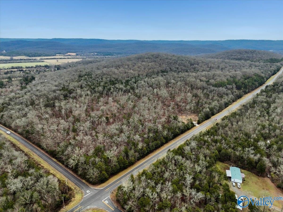 Residential Lots in Grant, AL