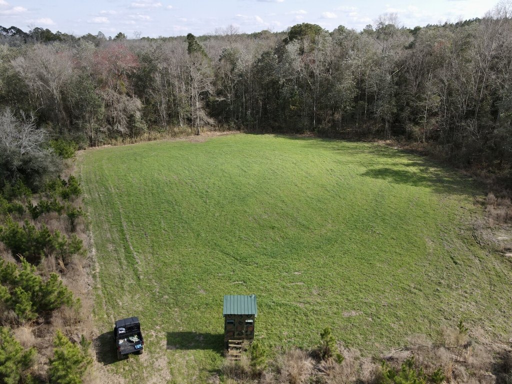 Picture 10