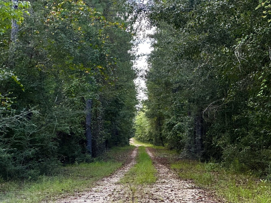 Picture 25