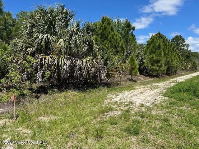 Vacant Land in Palm Bay