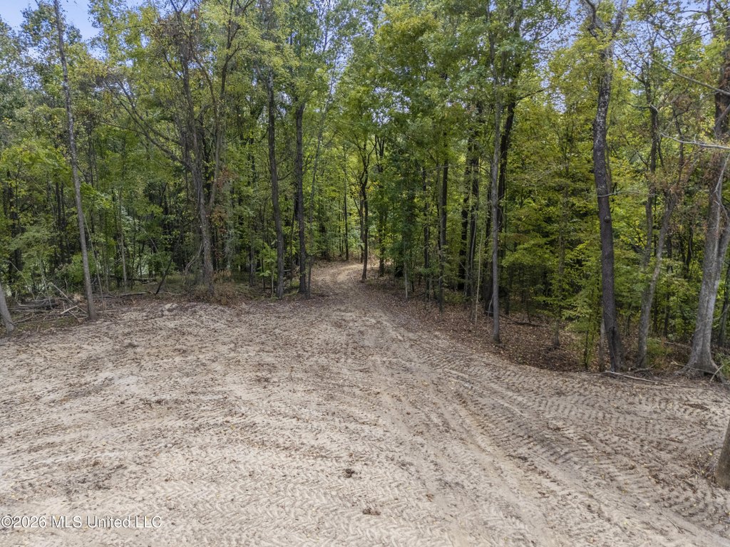 Picture 29