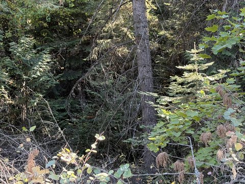 Land, Rathdrum, ID