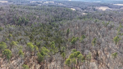Ozark Hunting and Recreational Land