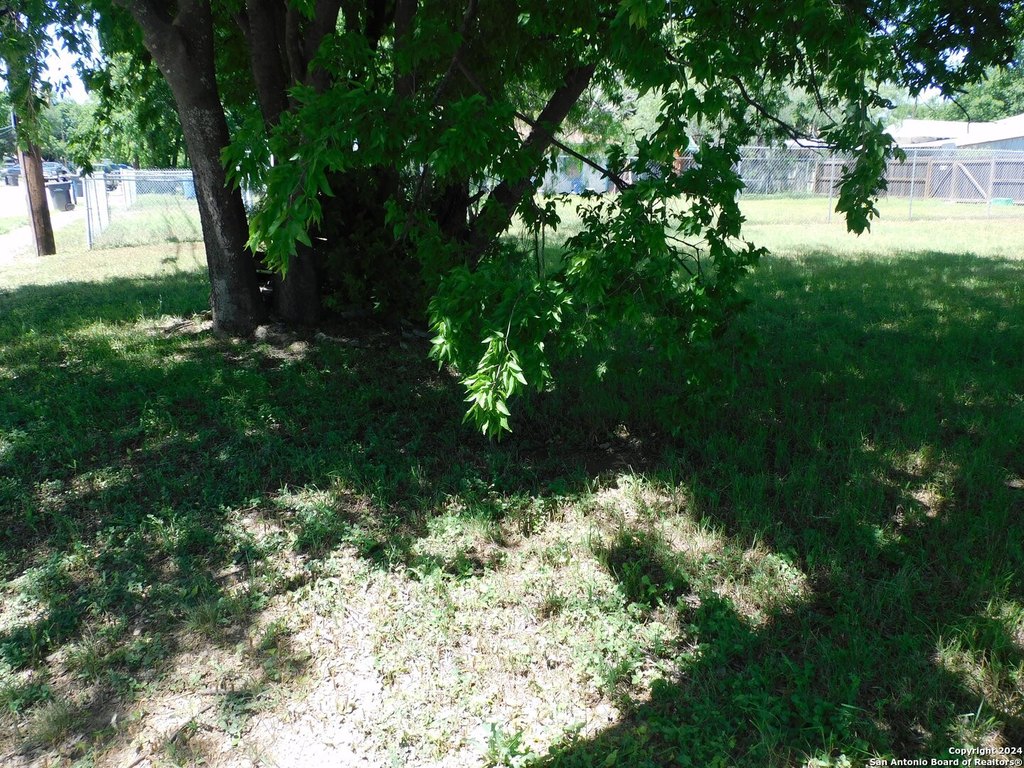 Picture 6