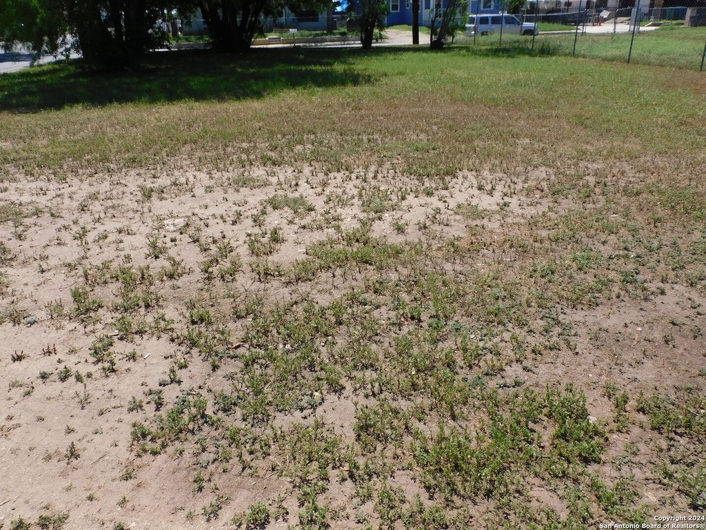 Picture 11