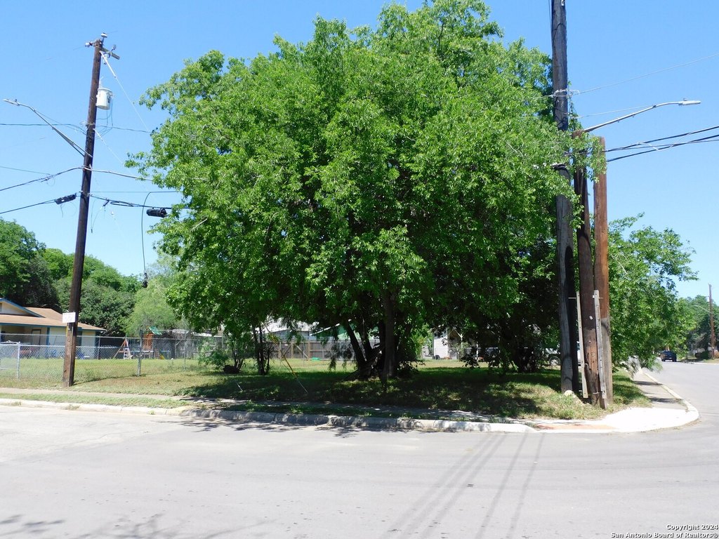 Picture 17