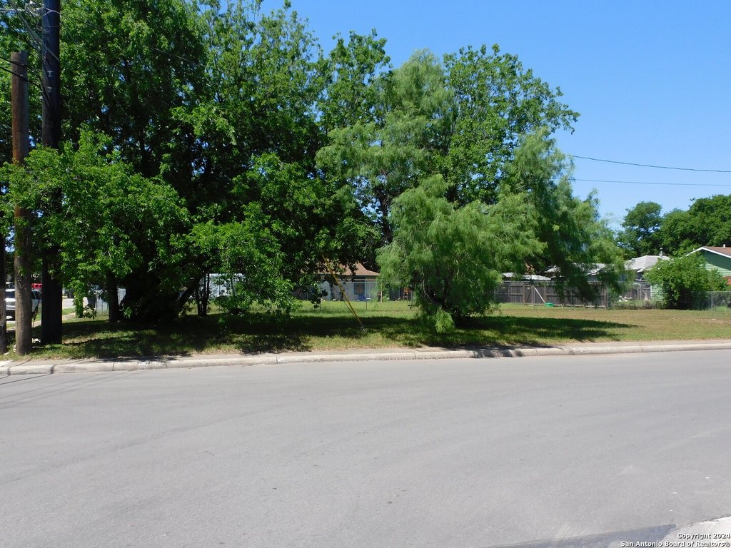 Picture 14