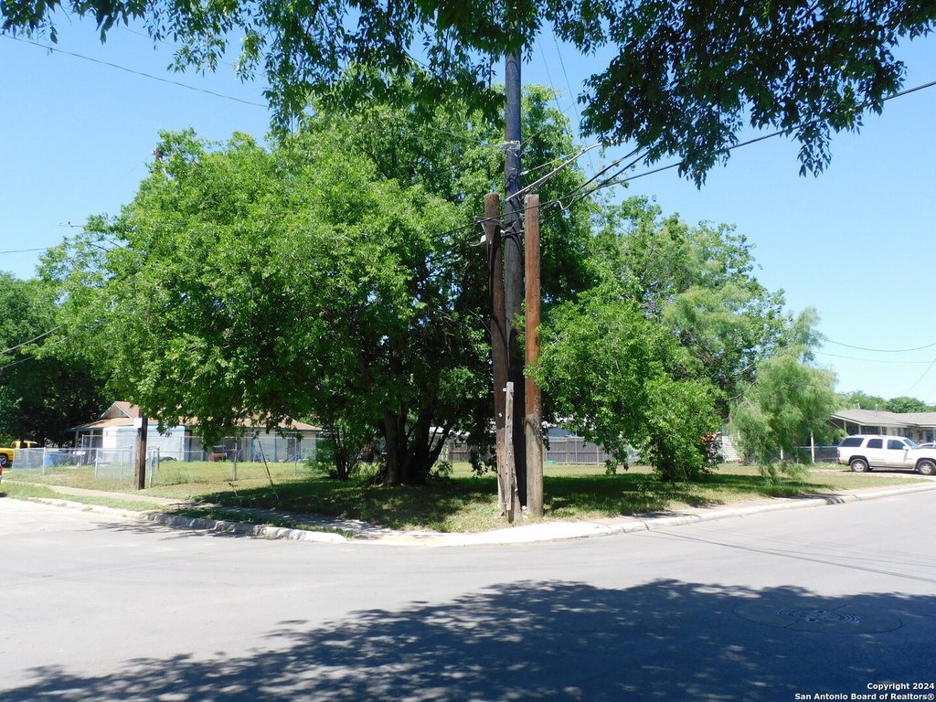 Picture 16