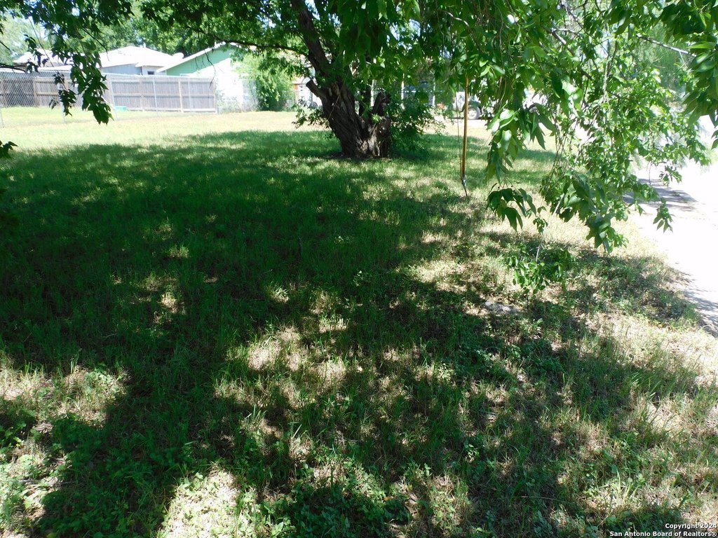 Picture 4