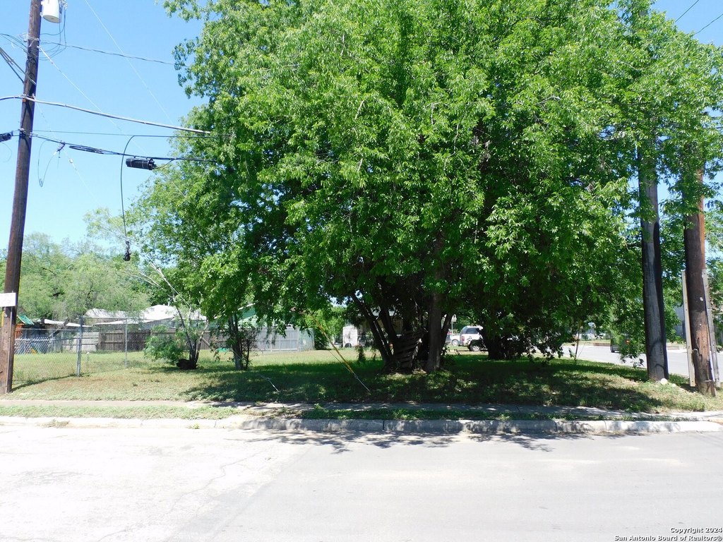 Picture 18