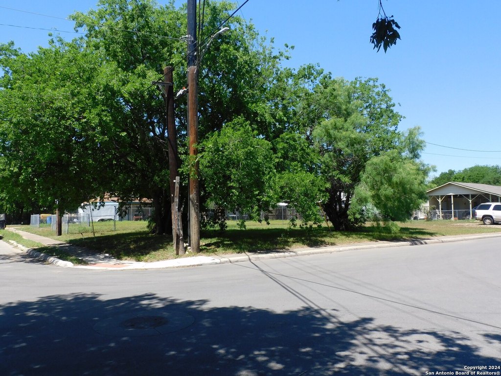 Picture 15