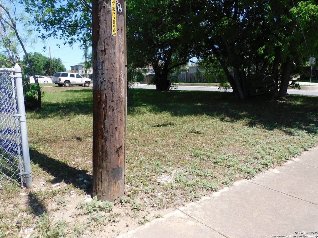 Picture 21