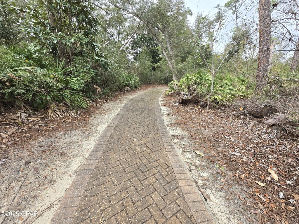 Picture 18