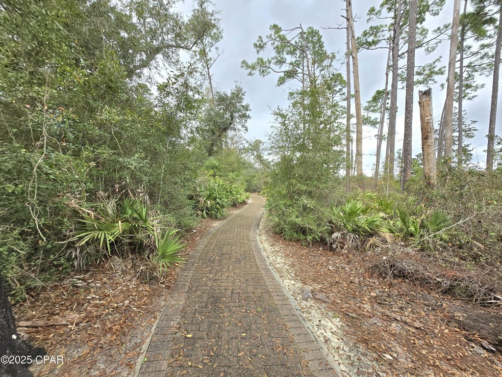 Picture 17