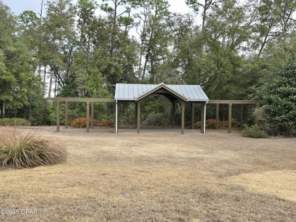 Picture 19