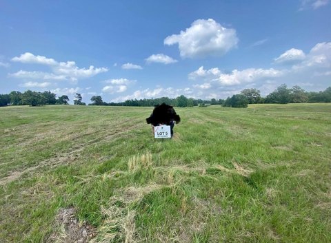 Land in Big Sandy, TX