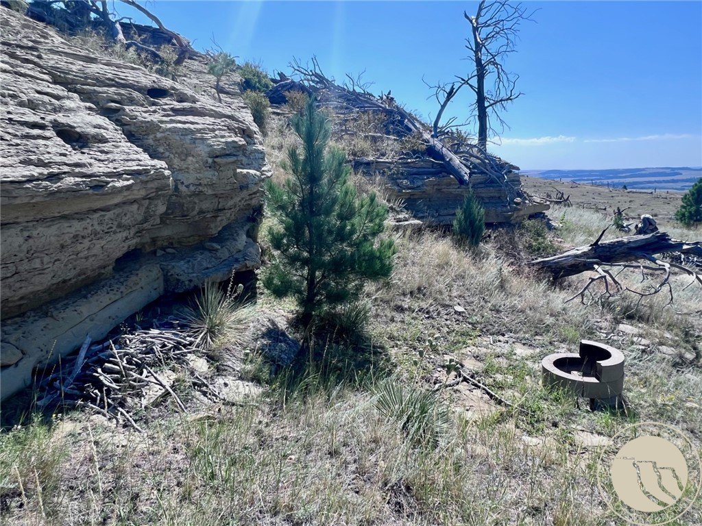Picture 22