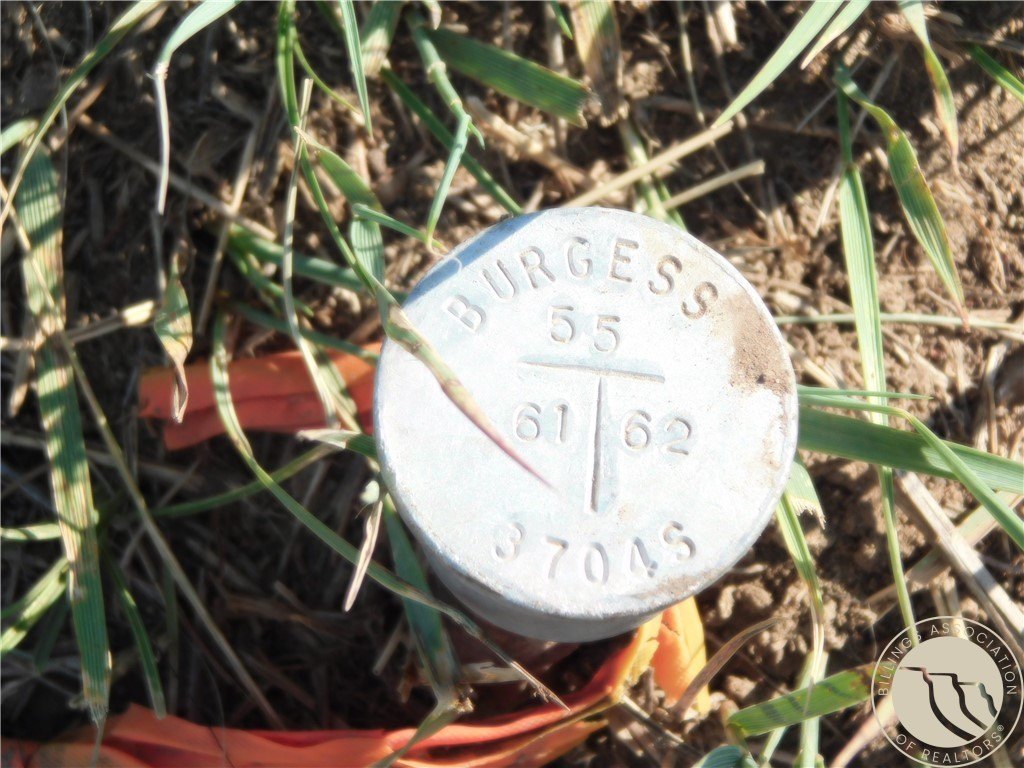 Picture 27