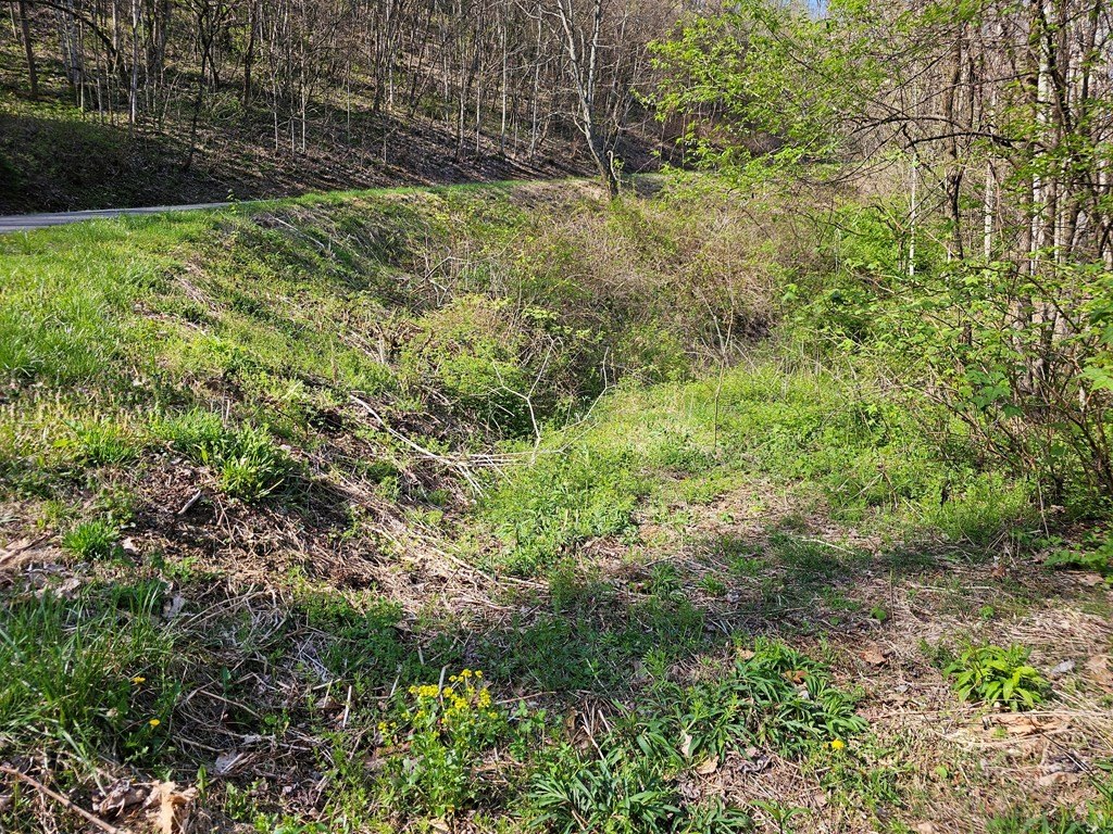 Picture 4