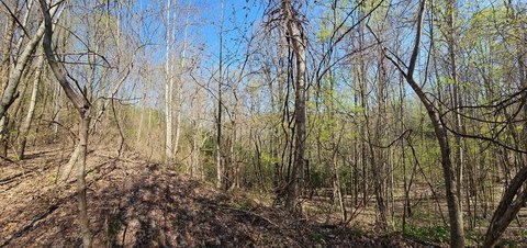 Land in Gated Community