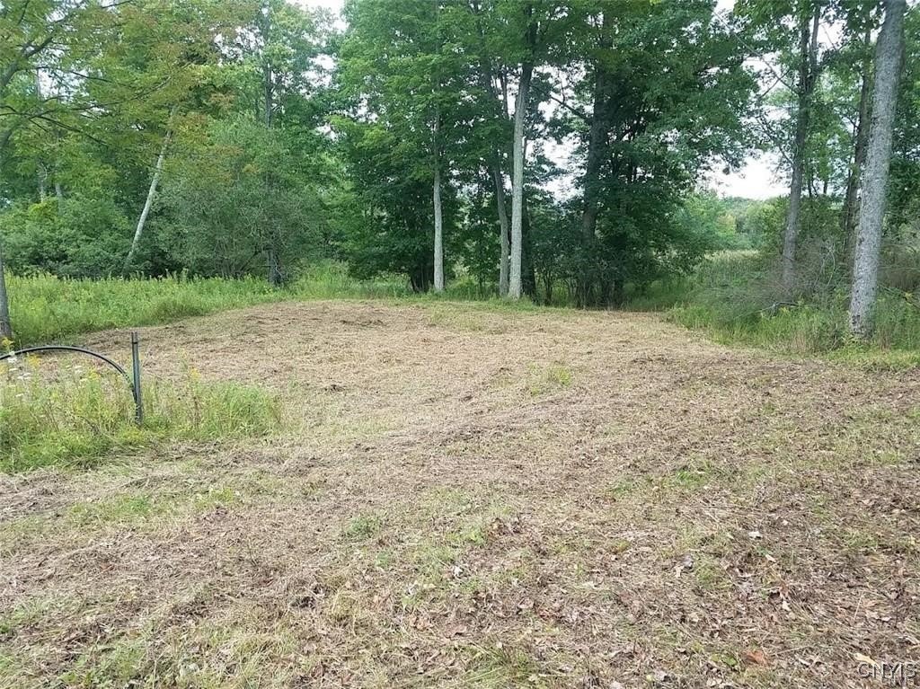 Wellesley Island Land Parcel